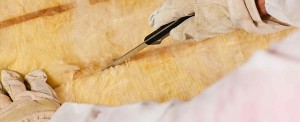 Insulation Removal